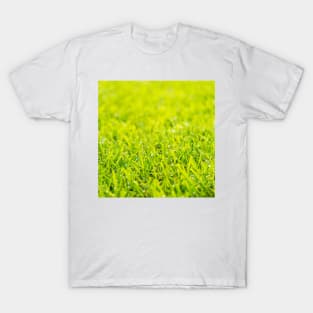 Dew Drops On Green Grass T-Shirt